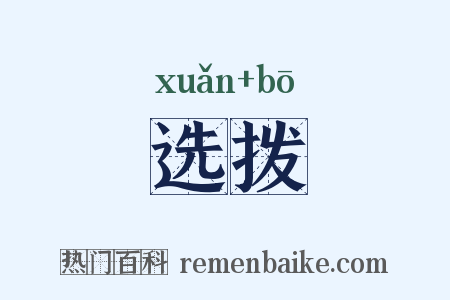 选拨是什么意思的图片